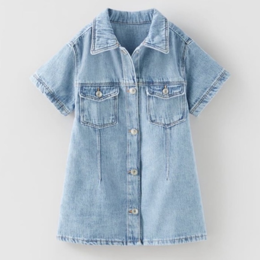 Zara Snaps Denim Shirt Dress